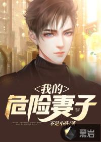 我的危险妻子 韩国
