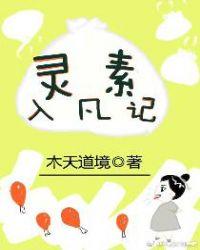 灵素入凡记作者木天道境