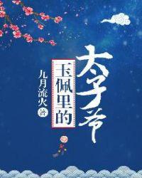 玉佩里的太子爷电视剧