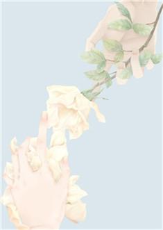 蒋砚