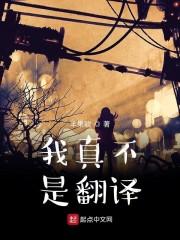 我真不是翻译第九十五章