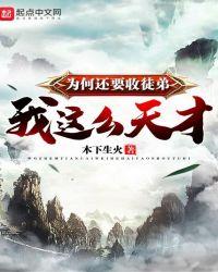 我这么天才为何还要收徒弟境界表