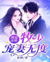 携爱成婚牧少宠妻无度夏怡牧泽然