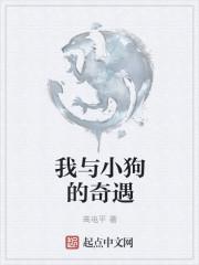 我与小狗的奇遇作文