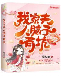 我家夫人脑子有坑剧情