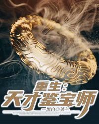 重生全能鉴宝师txt