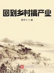 回到农村创业