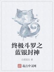 终极斗罗之蓝银封神齐天网
