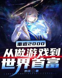 重返2000从做游戏到世界首富
