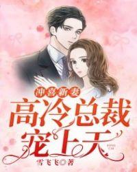 冲喜新妻高冷总裁宠上天贴吧