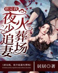 夜少追妻火葬场 作者居居
