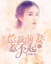 疯狂的婚姻总裁前妻惹不起