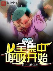 海贼从全集中呼吸开始顶点网