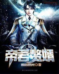 帝君赘婿雨后星光