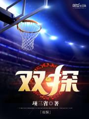 双探在线观看免费观看电视剧