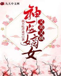 神医嫡女又美又飒凤清音南宫澈