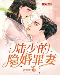 陆少的隐婚罪妻南溪