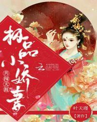 极品小娇妻