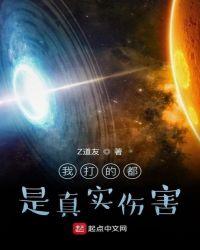 我打的都是真实伤害txt