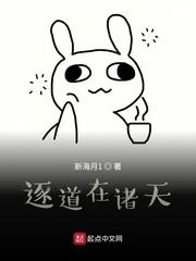 追逐在诸天