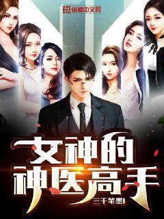 女神的神医高手风烟净