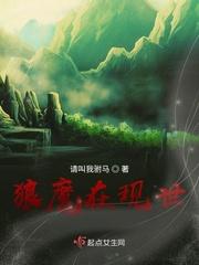魔狼系统