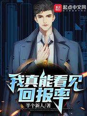 我真能看见回报率txt免费