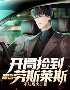 开局捡到一辆劳斯莱斯 不知烟火