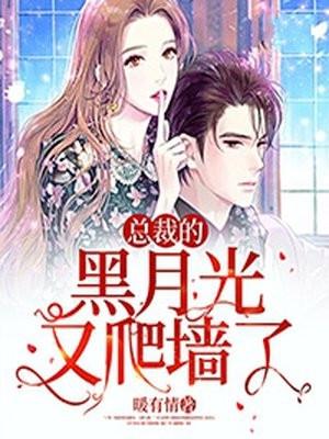 宋云汉凌青免费阅读