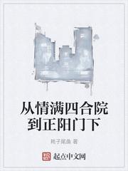 从情满四合院到正阳门下TT免费全集