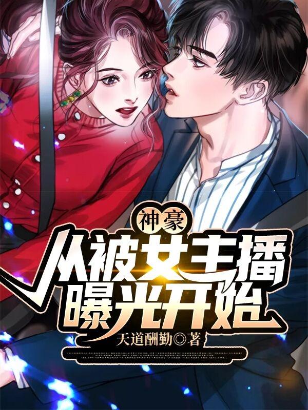 叶凡唐若雪医婿