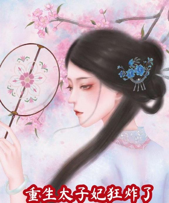 女主叫沈昭昭萧熠