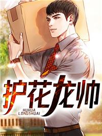 护花龙婿全集