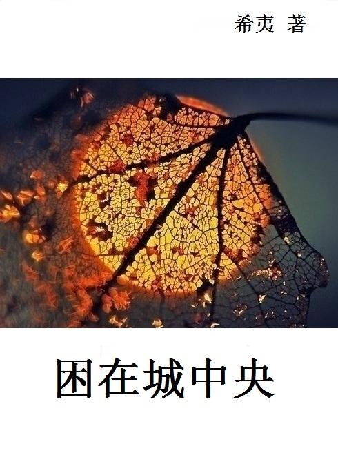 困在城中央希夷