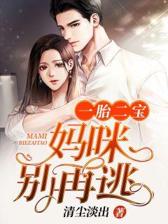 一胎双宝妈咪别想跑