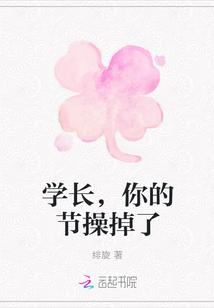 你的节操掉了免费阅读