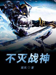 不灭战神叶晨风
