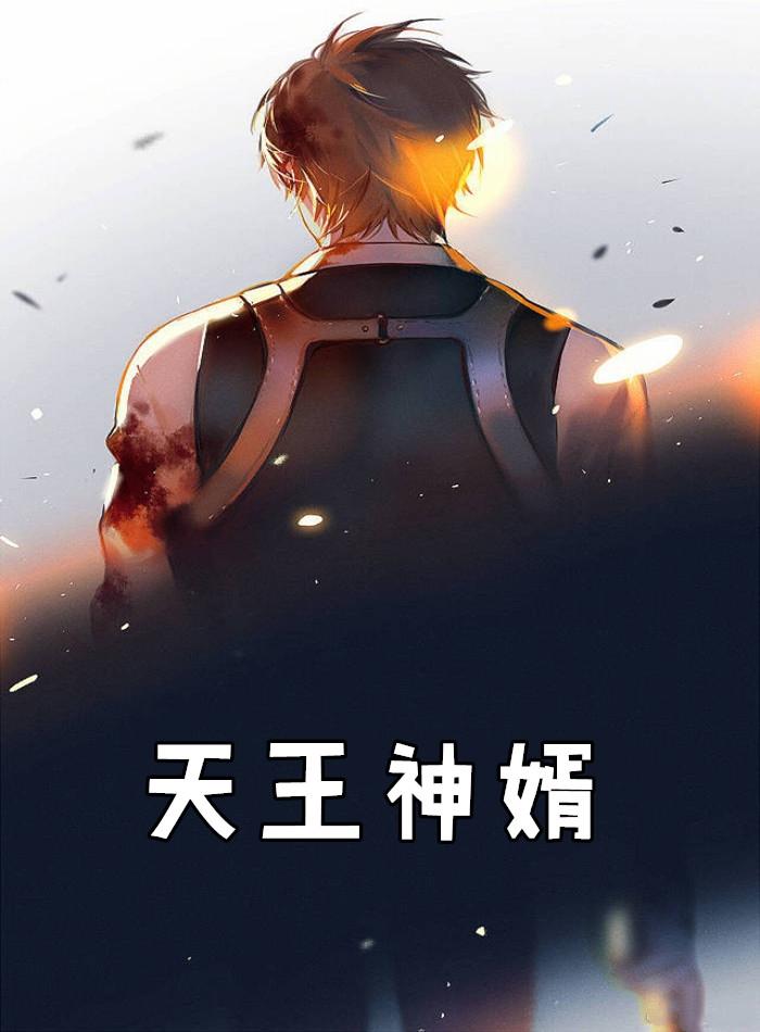神婿叶辰