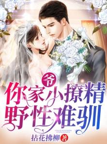 爷你家小撩精野性难驯什么时候