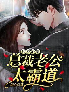限量婚宠总裁老公撩不停免费阅读
