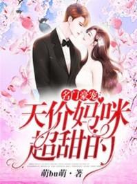 名门豪宠闪婚甜宠