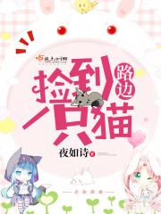 路边捡到一只猫免费阅读