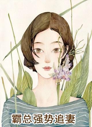 总裁强势追妻