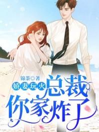 娇妻玩火总裁你家炸了TXT