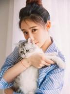 傅筱棠顾言之言情