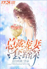 总裁宠妻套路深浪漫烟花