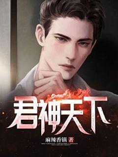 君神天下叶君免费