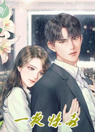 一夜惊喜闪婚娇妻太撩人免费阅读全文