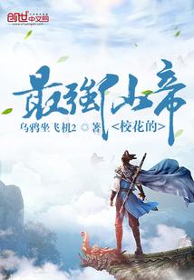 校花的最强仙帝乌鸦坐飞机2