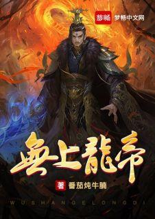 无上龙帝短剧免费完整版